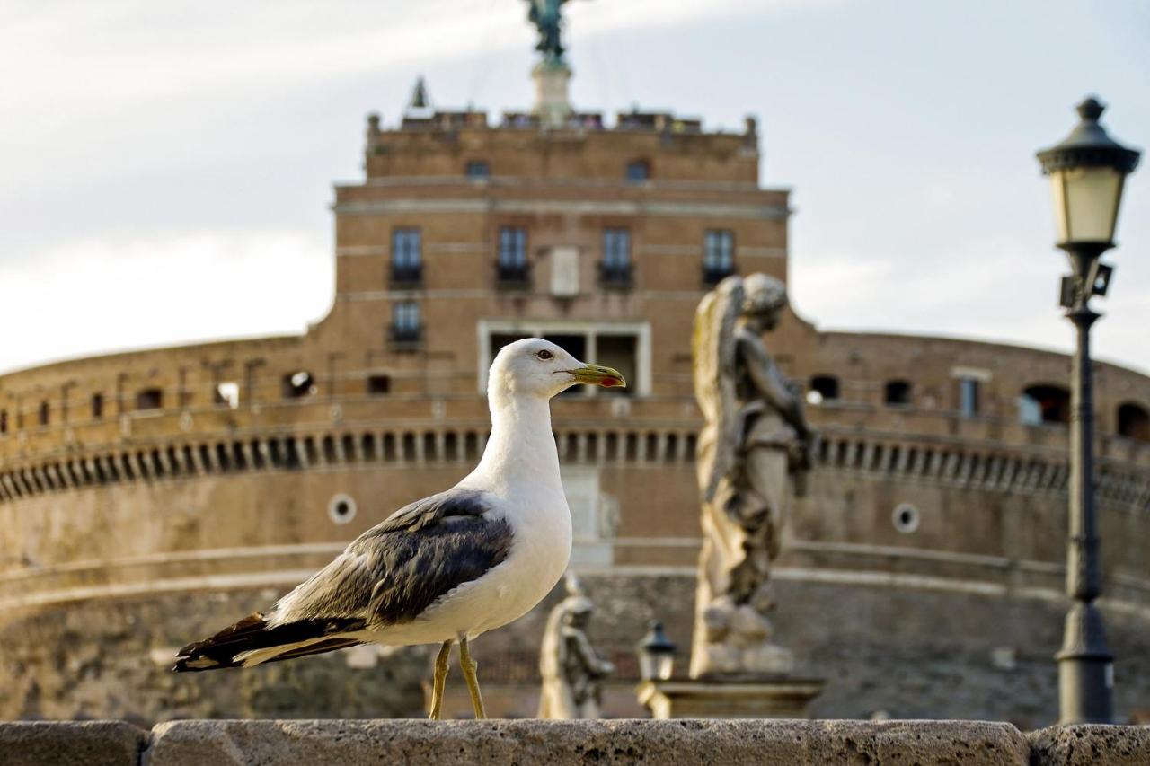 Roma Vatican Kültér fotó